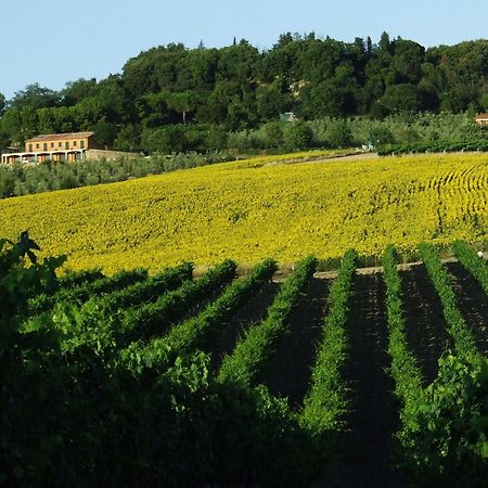 Bio Agriturismo Il Torrione Saturnia Exterior photo