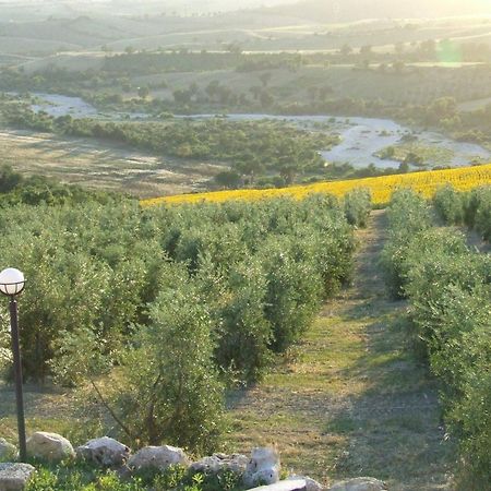 Bio Agriturismo Il Torrione Saturnia Exterior photo