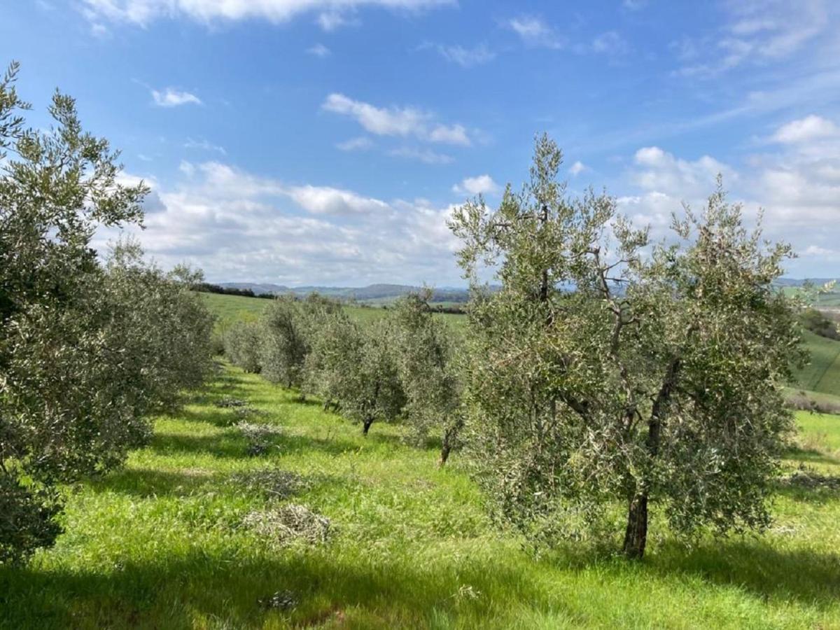 Bio Agriturismo Il Torrione Saturnia Exterior photo