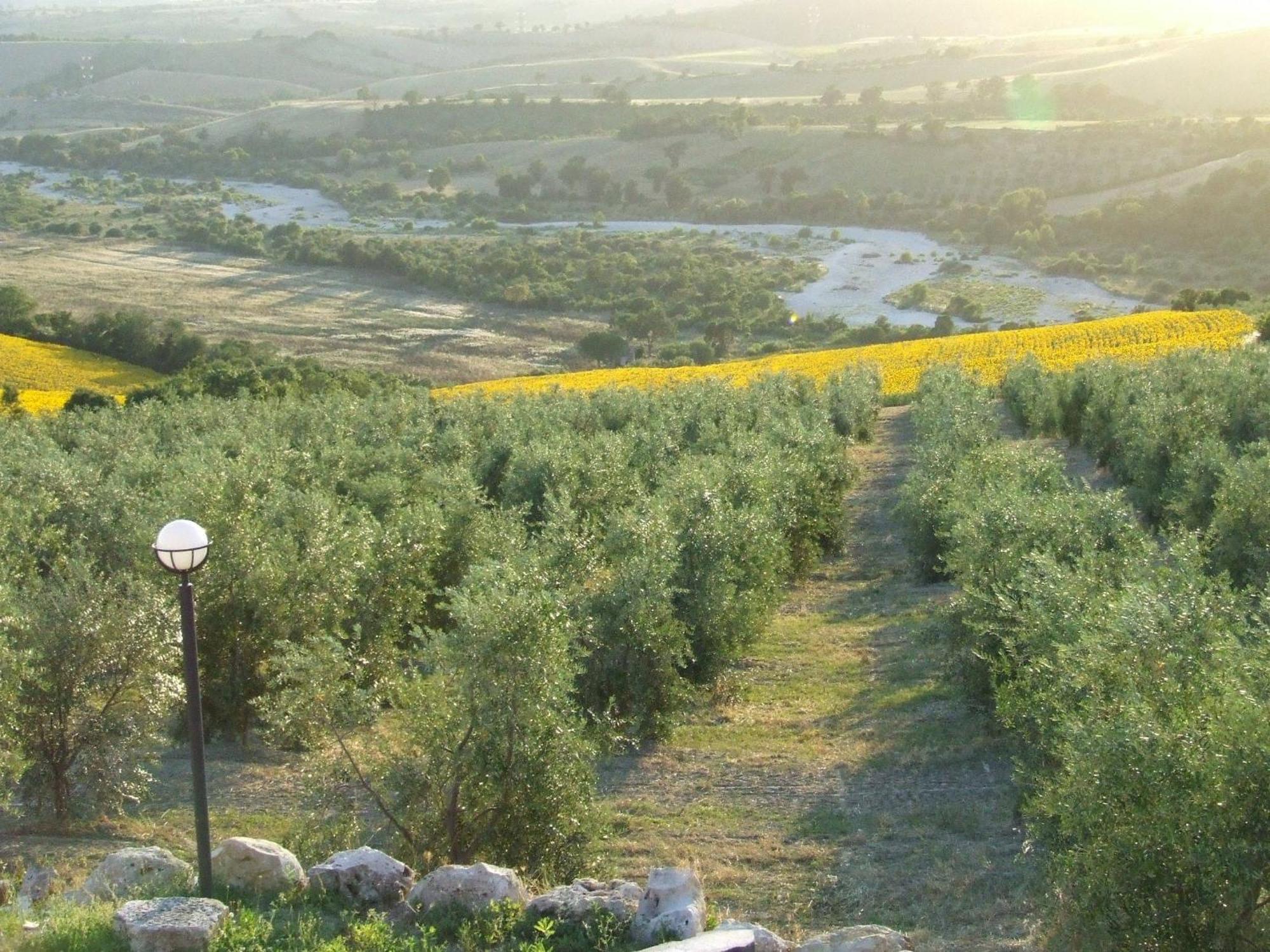Bio Agriturismo Il Torrione Saturnia Exterior photo