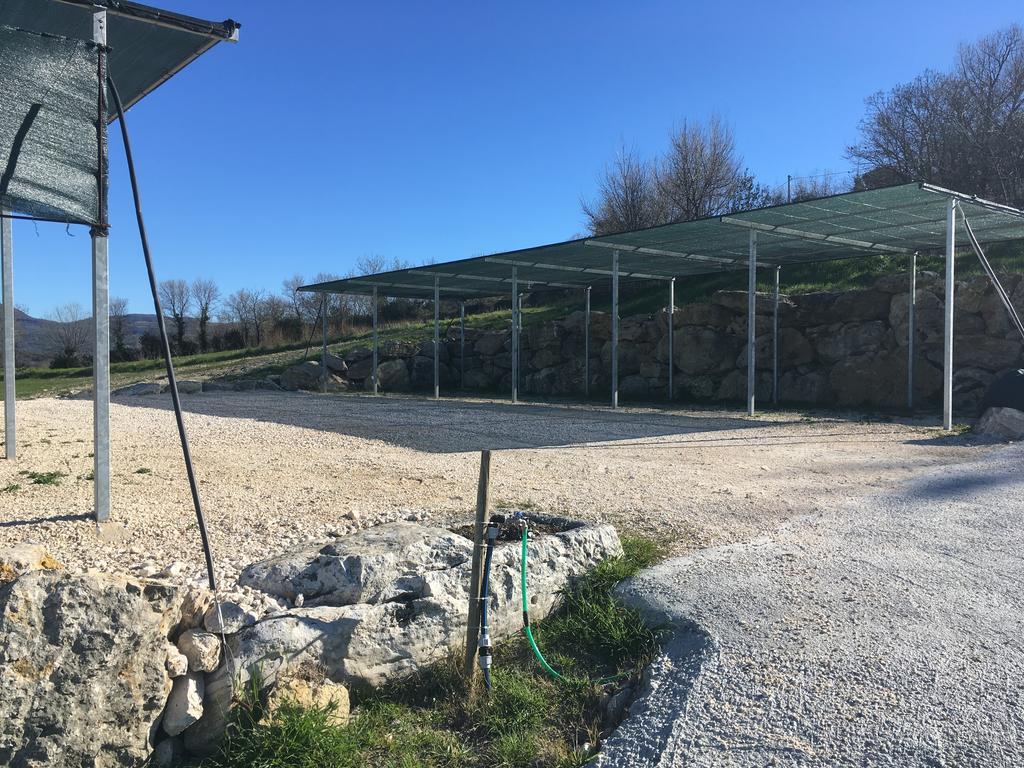 Bio Agriturismo Il Torrione Saturnia Exterior photo